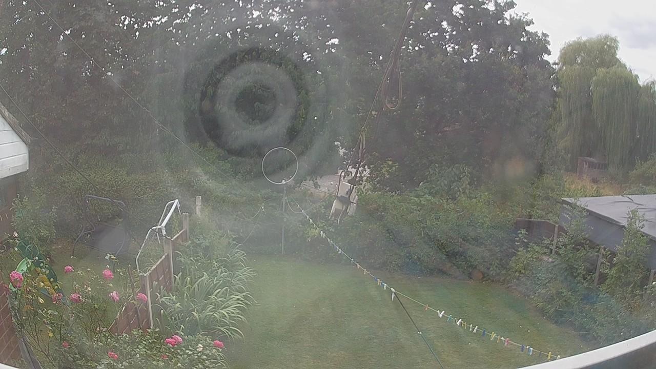 20260816_141649_cam1.jpg