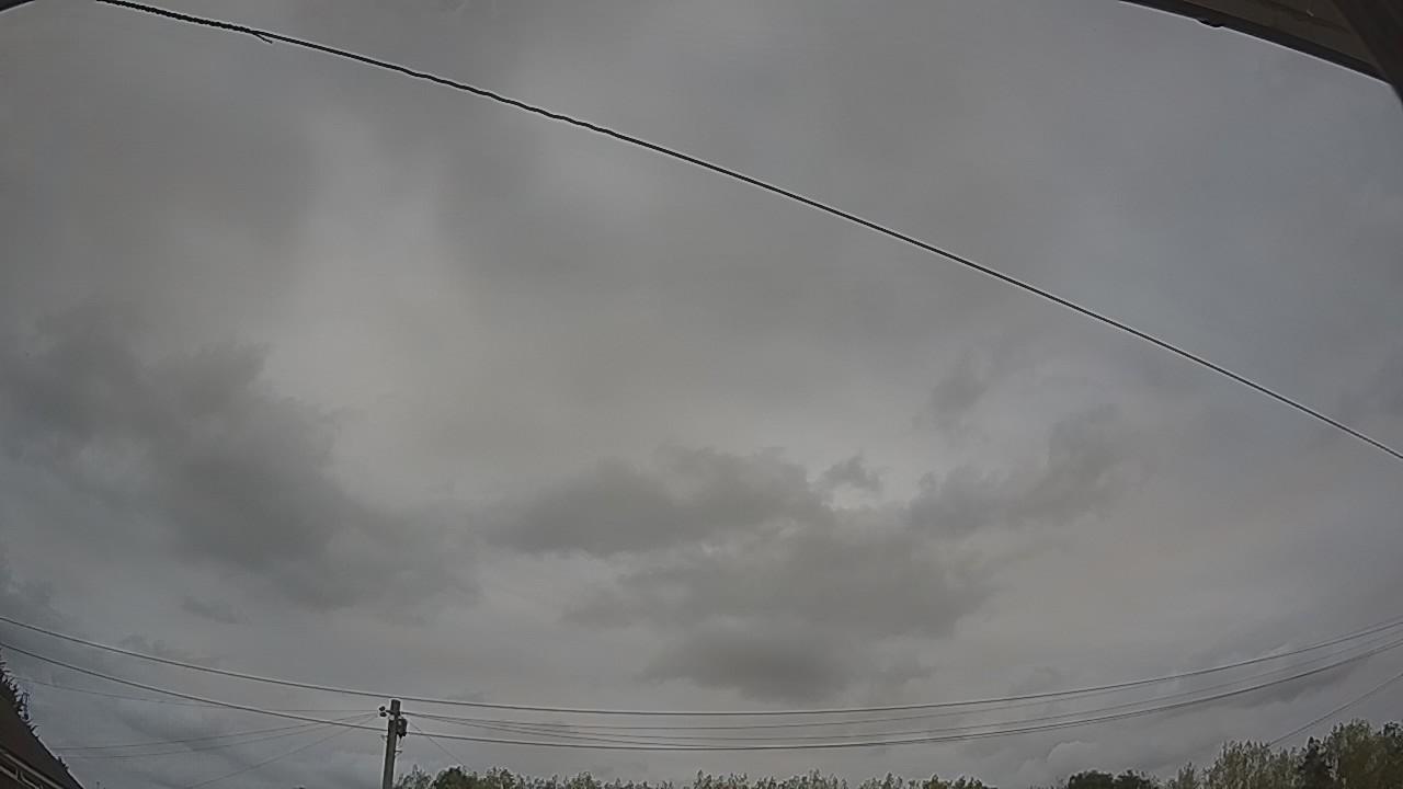 20260816_143030_cam2.jpg