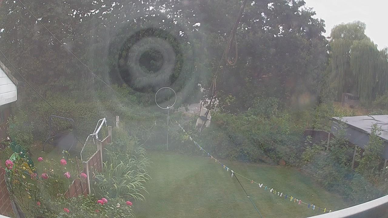 20260816_144257_cam1.jpg