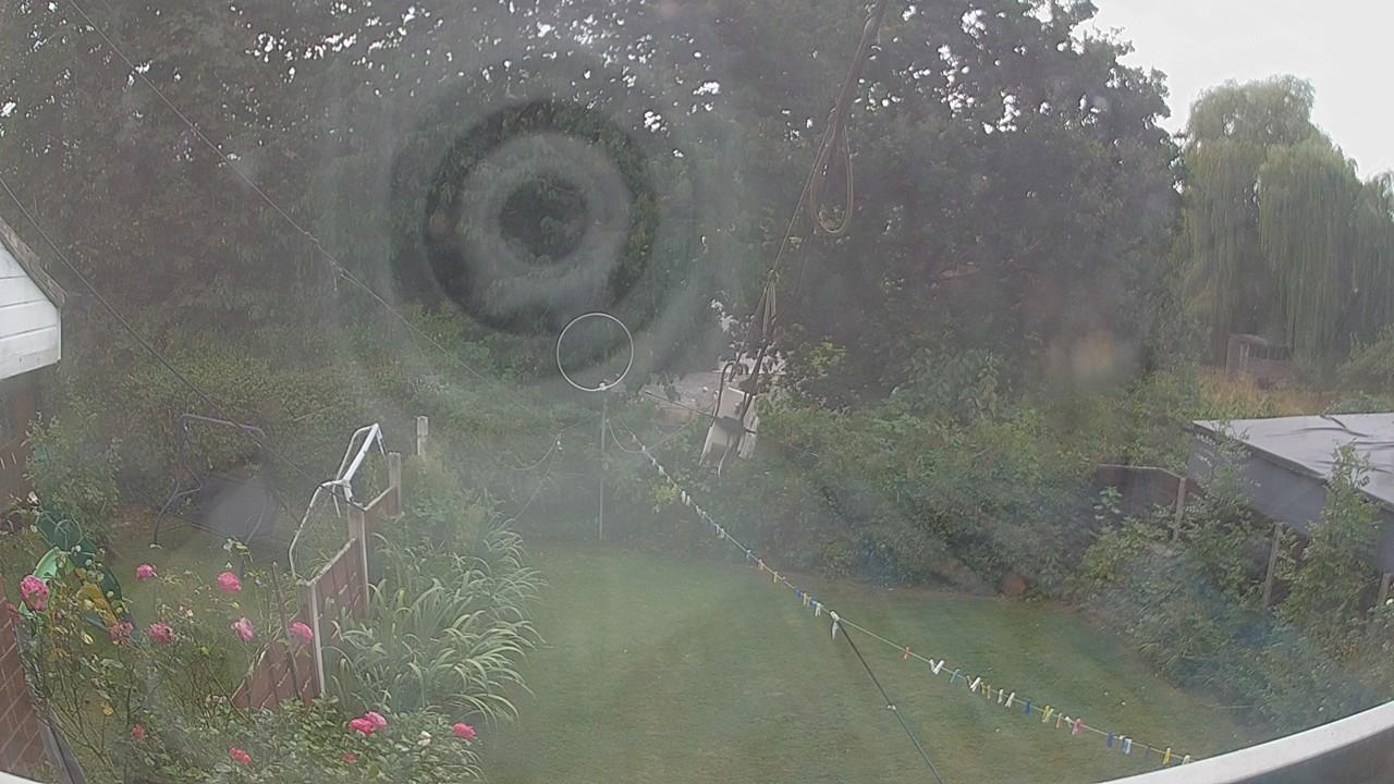 20260816_144706_cam1.jpg