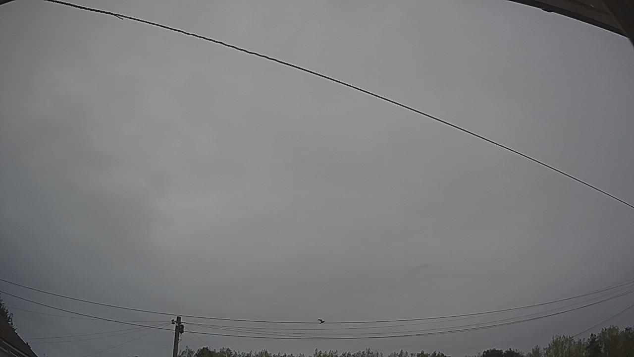 20260816_171845_cam2.jpg