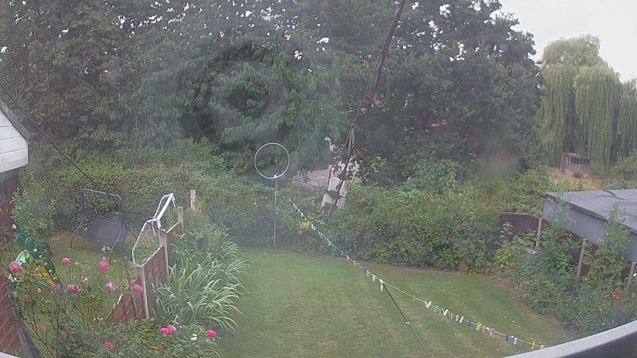 20260816_172311_cam1.jpg