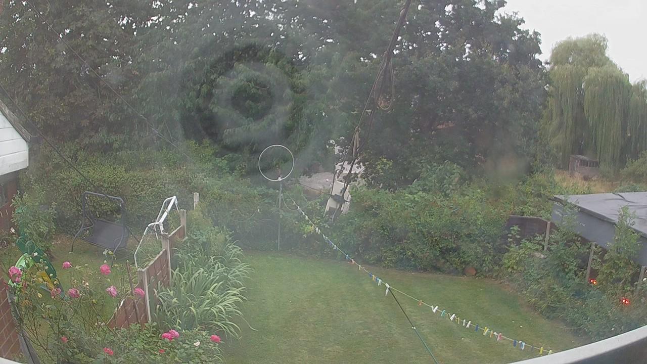 20260816_185459_cam1.jpg