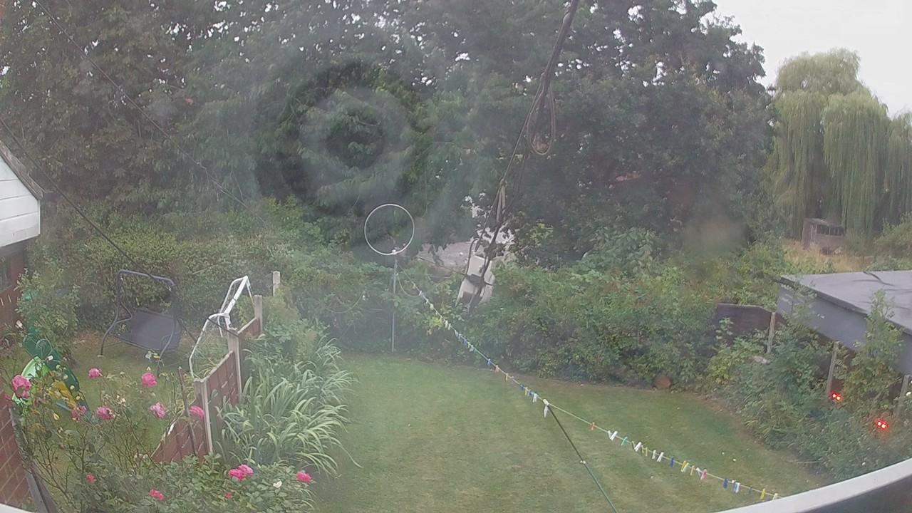 20260816_191049_cam1.jpg