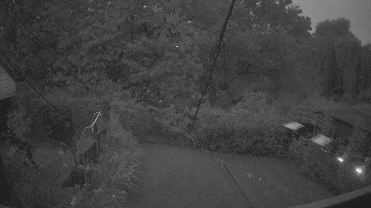 20260817_041703_cam1.jpg