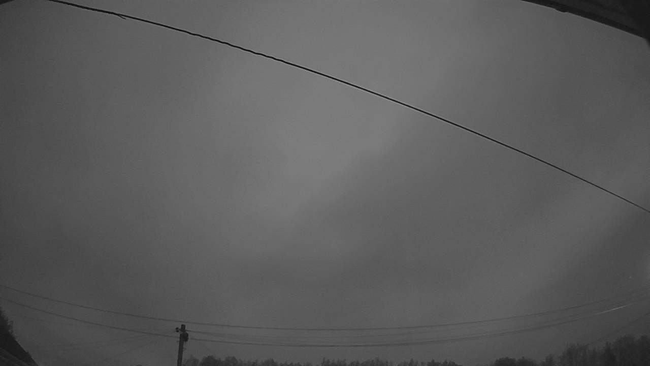 20260817_041704_cam2.jpg