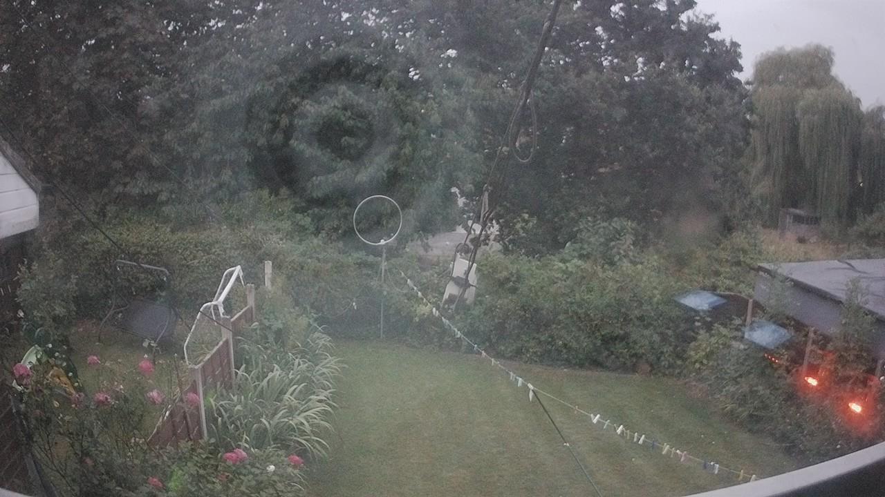 20260817_043111_cam1.jpg