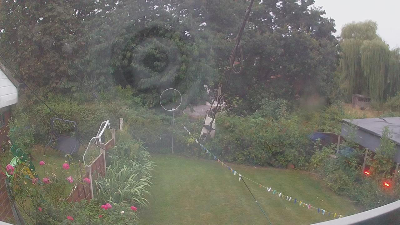 20260817_044458_cam1.jpg