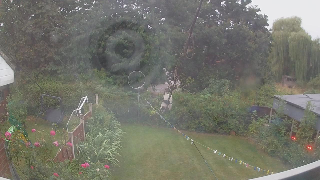 20260817_044934_cam1.jpg