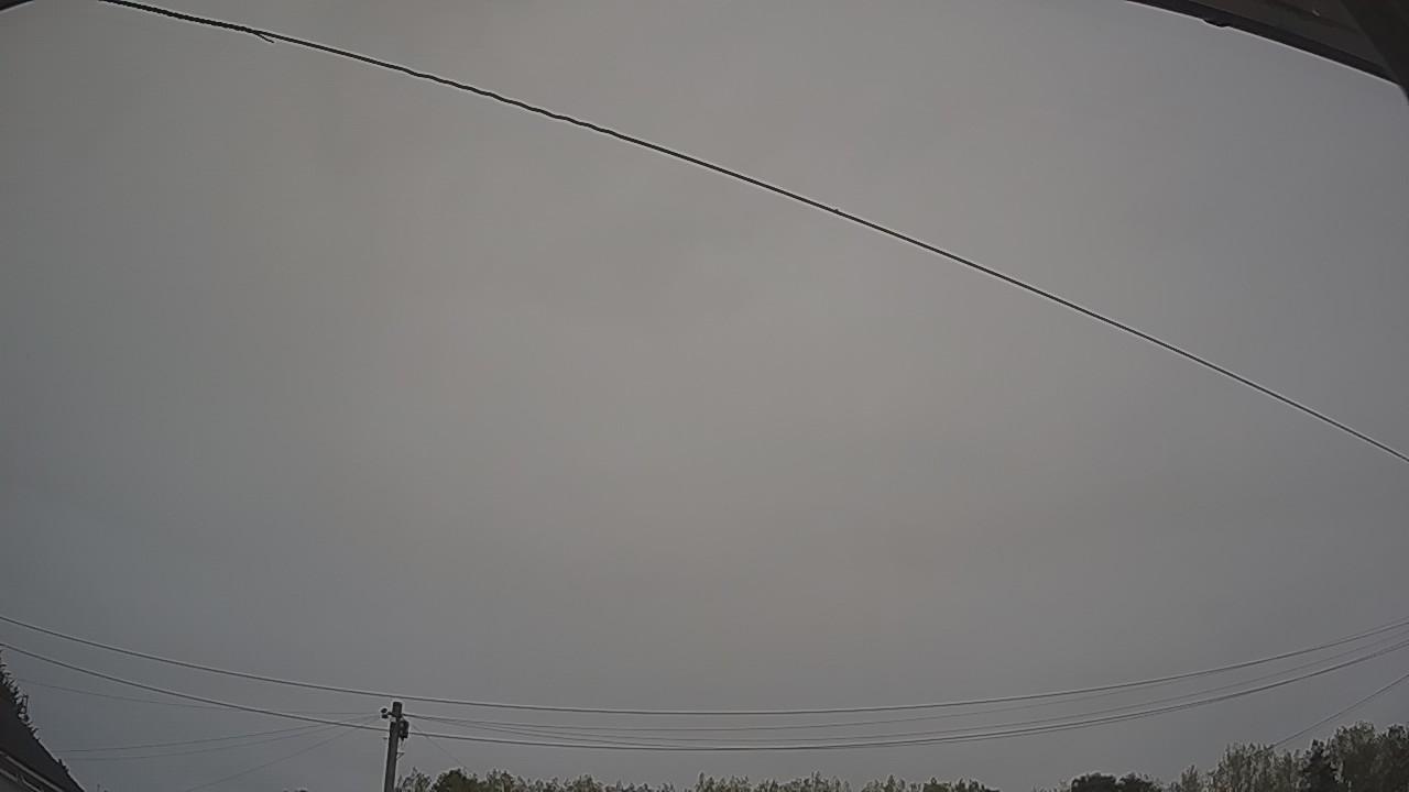 20260817_044935_cam2.jpg