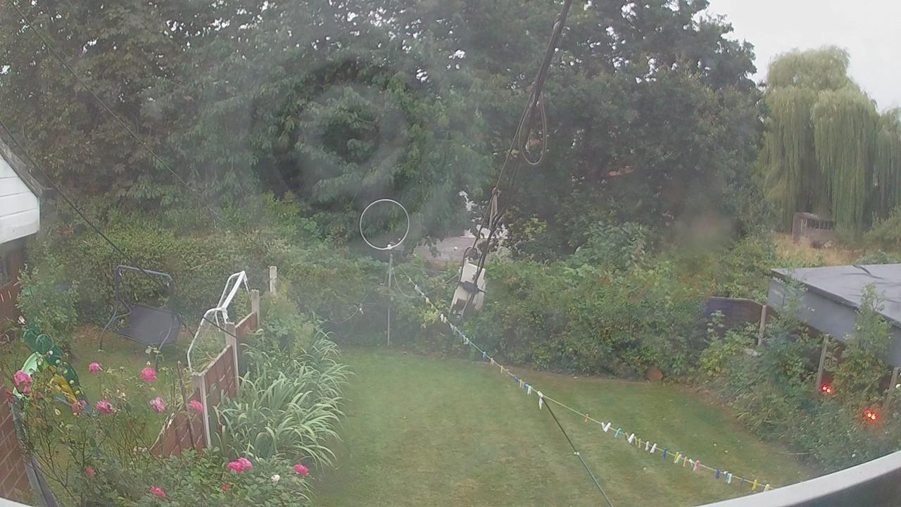 20260817_045409_cam1.jpg