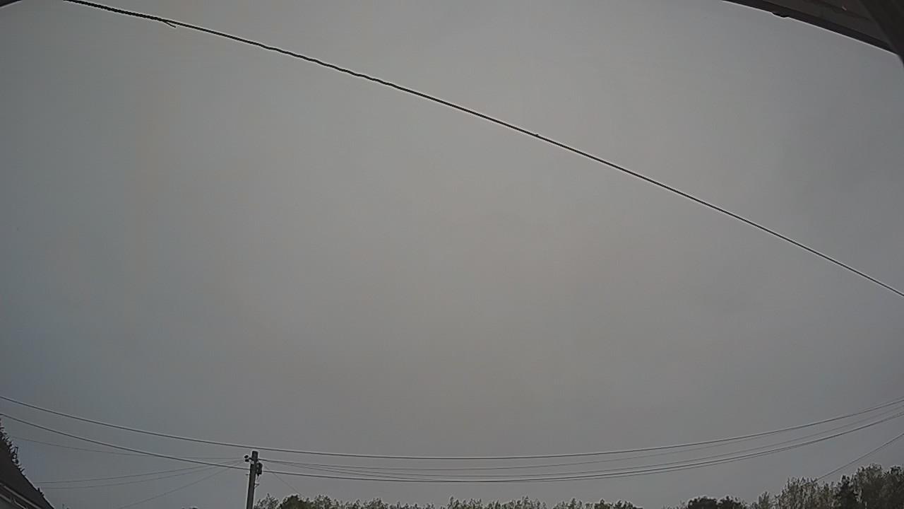20260817_050814_cam2.jpg