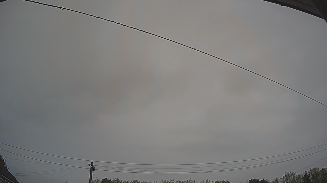 20260817_051742_cam2.jpg
