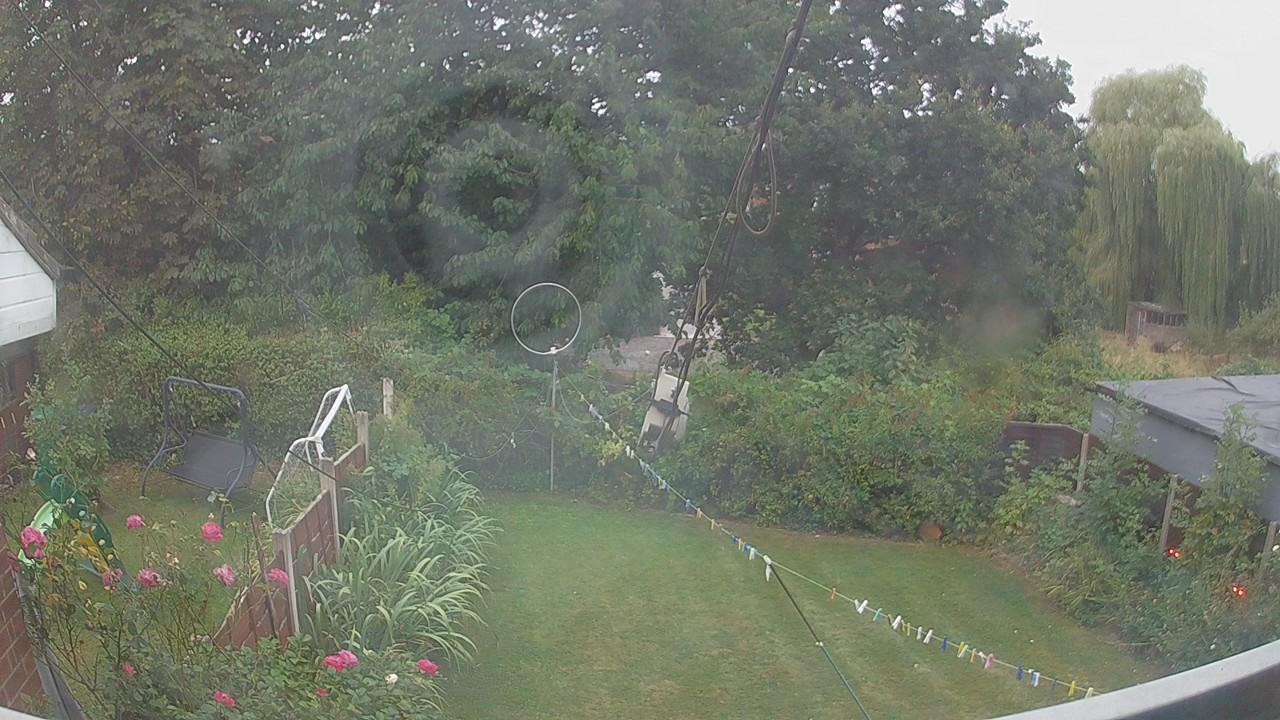 20260817_054459_cam1.jpg