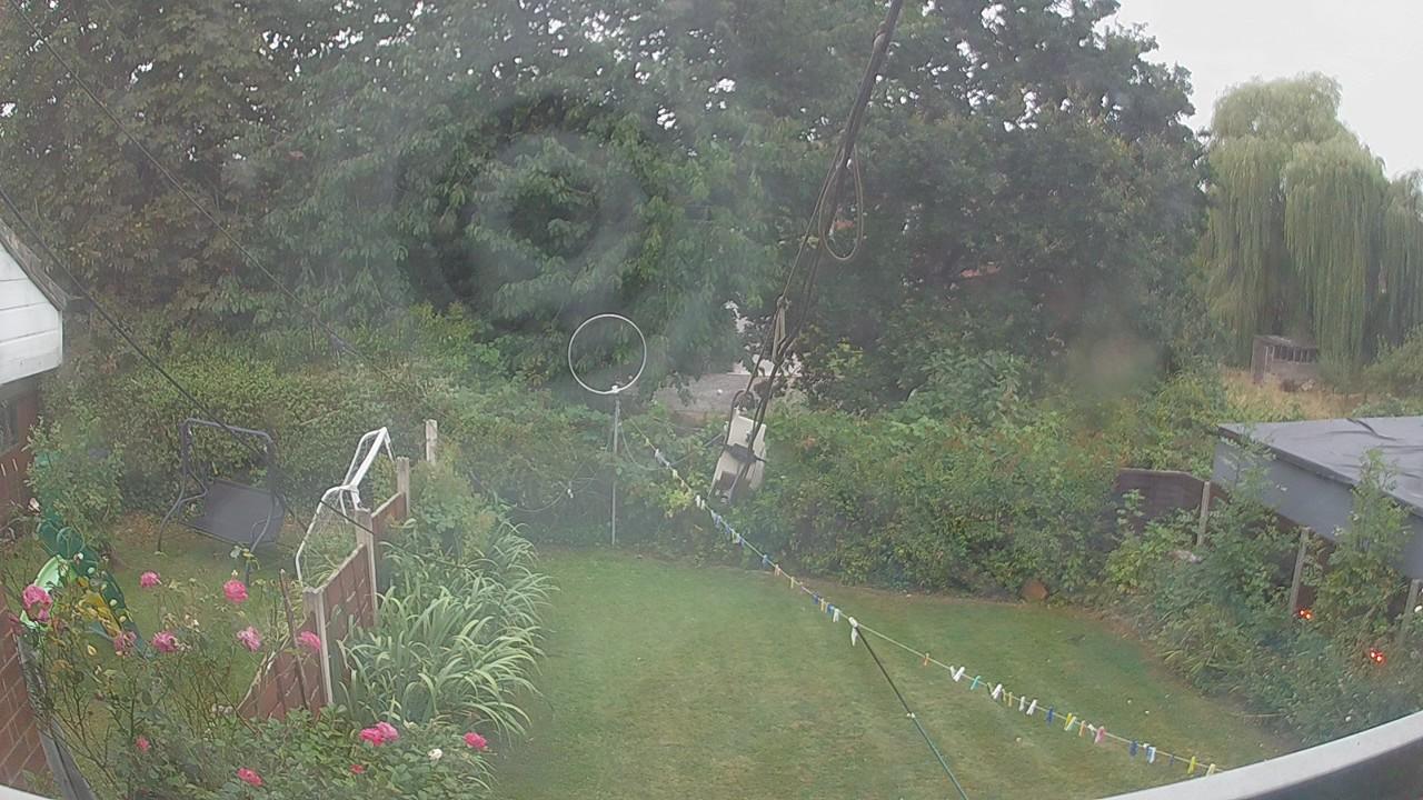 20260817_055354_cam1.jpg