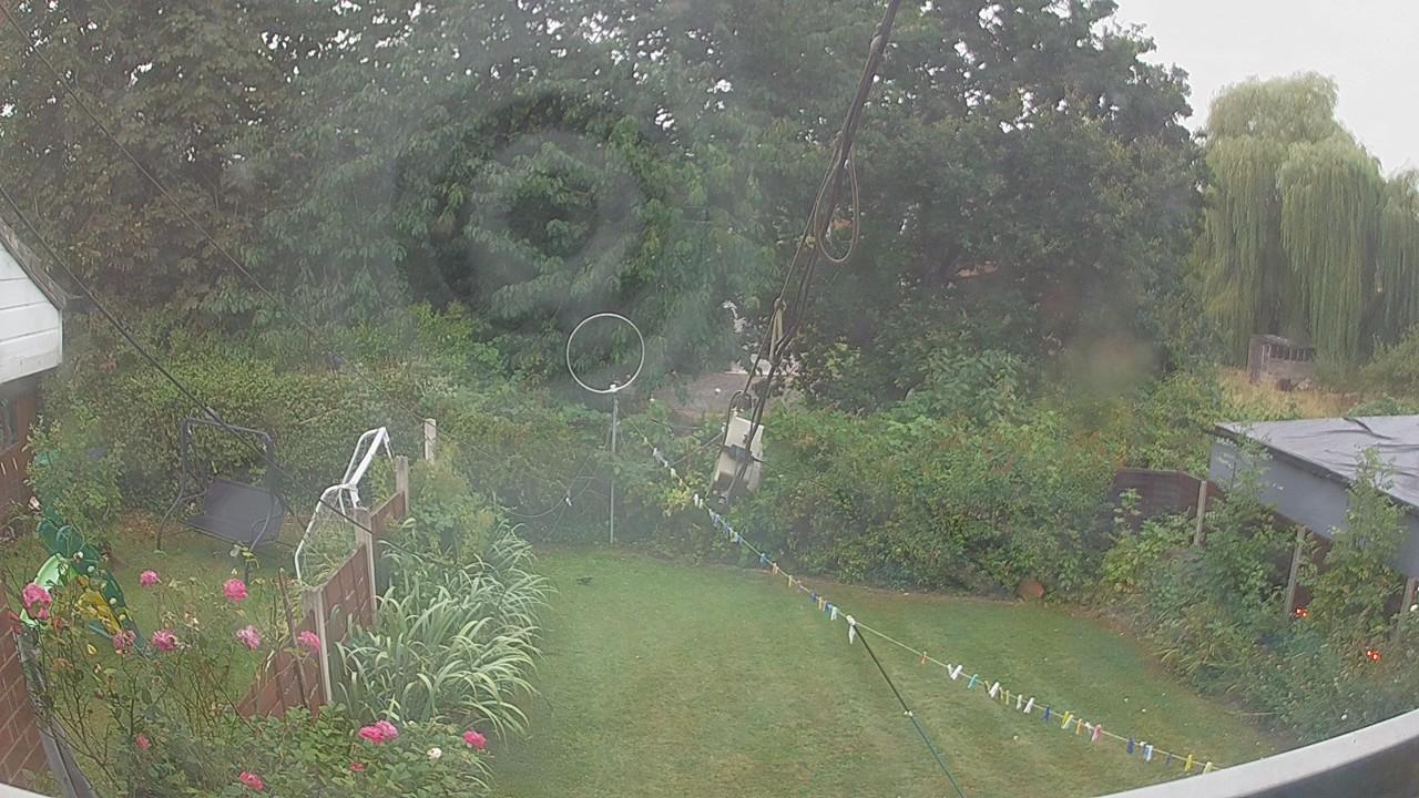 20260817_061759_cam1.jpg