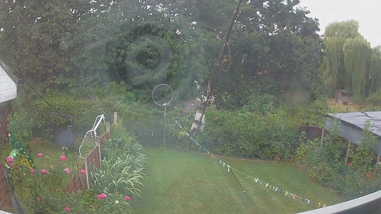20260817_064204_cam1.jpg