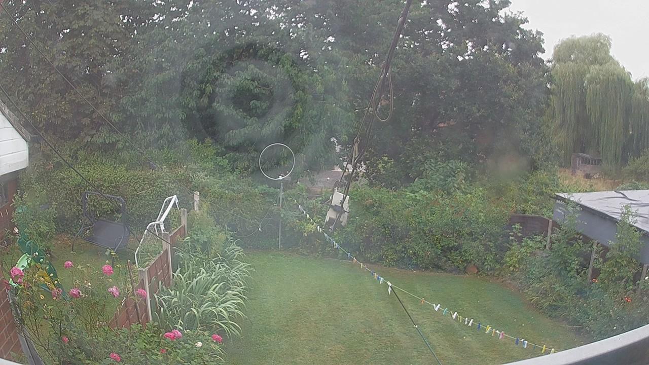 20260817_064649_cam1.jpg