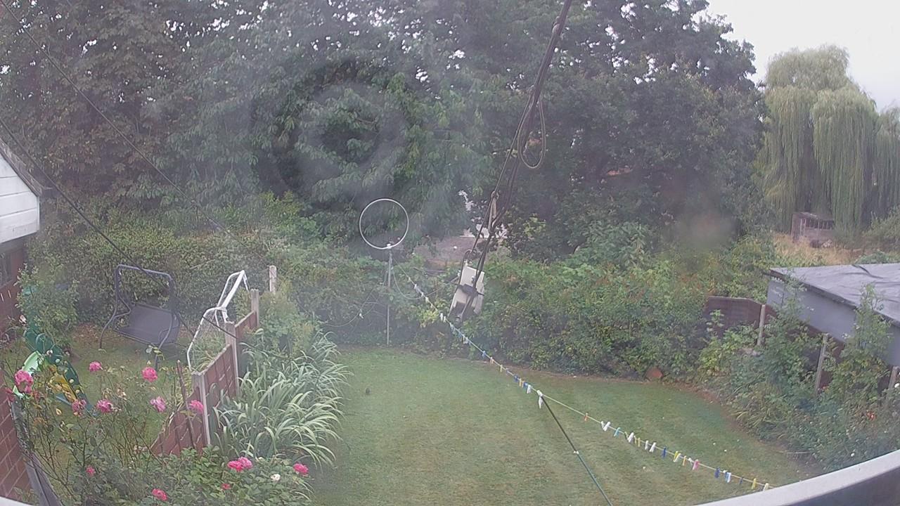20260817_072005_cam1.jpg