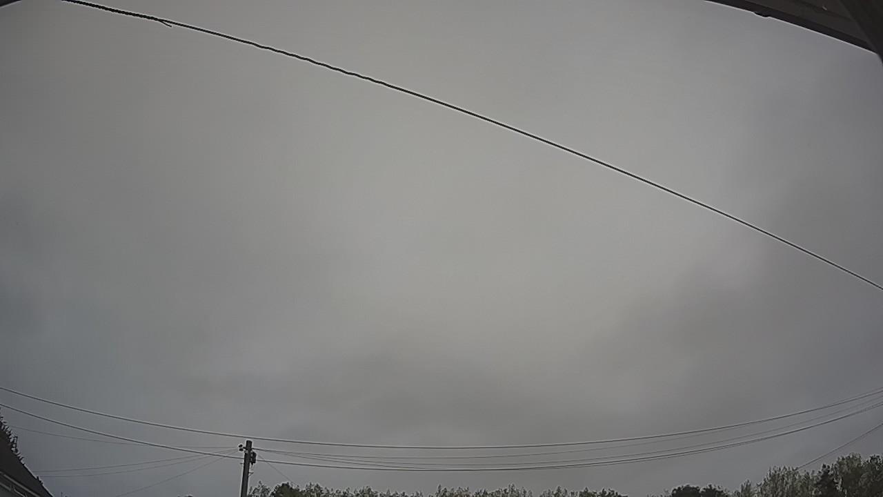 20260817_072450_cam2.jpg