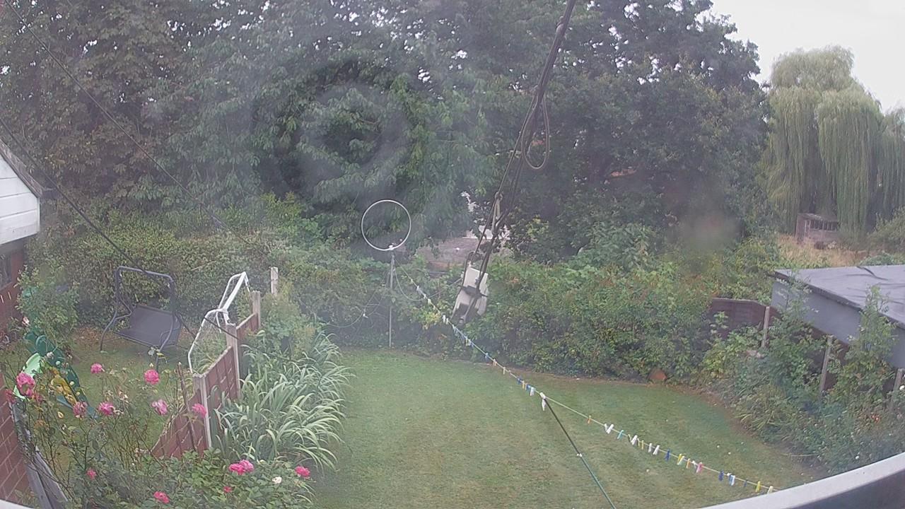 20260817_073401_cam1.jpg