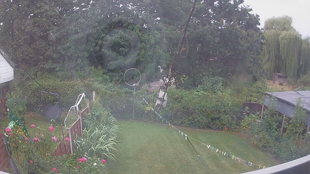 20260817_074749_cam1.jpg