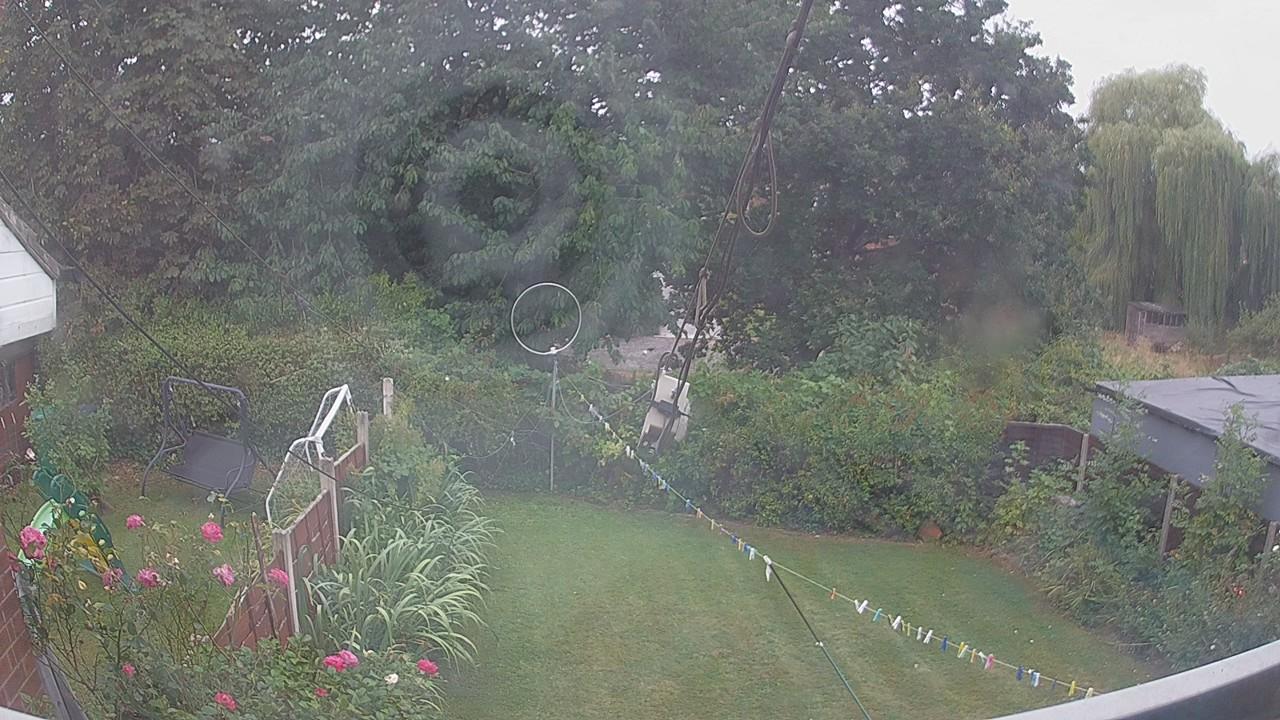 20260817_082914_cam1.jpg