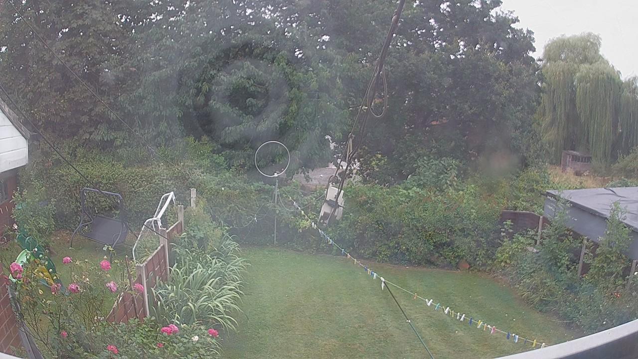 20260817_084739_cam1.jpg