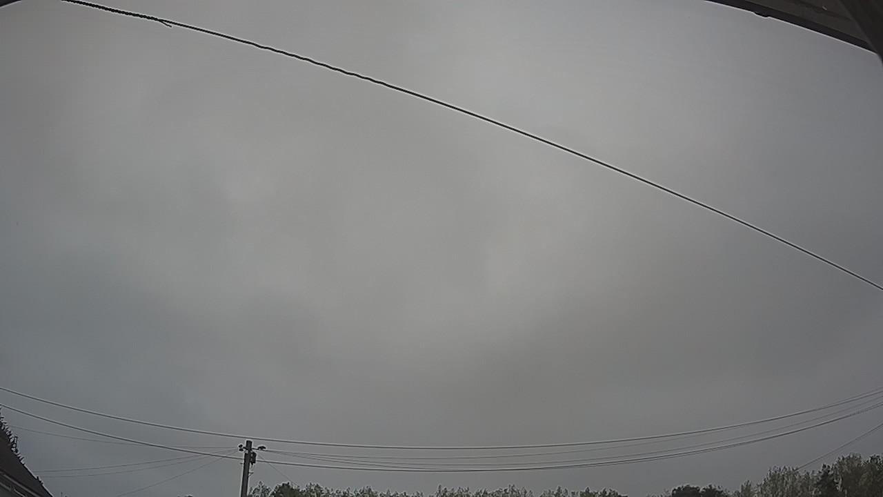 20260817_085216_cam2.jpg