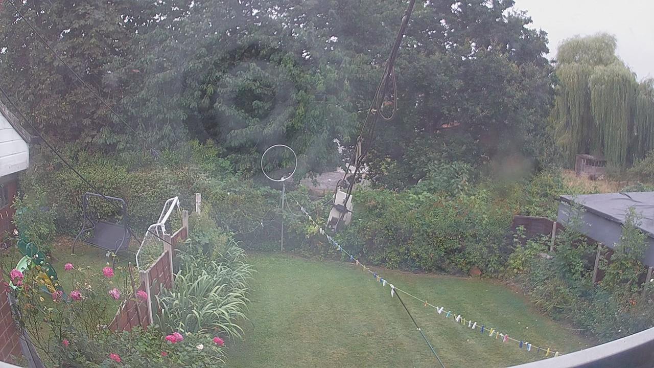 20260817_090119_cam1.jpg