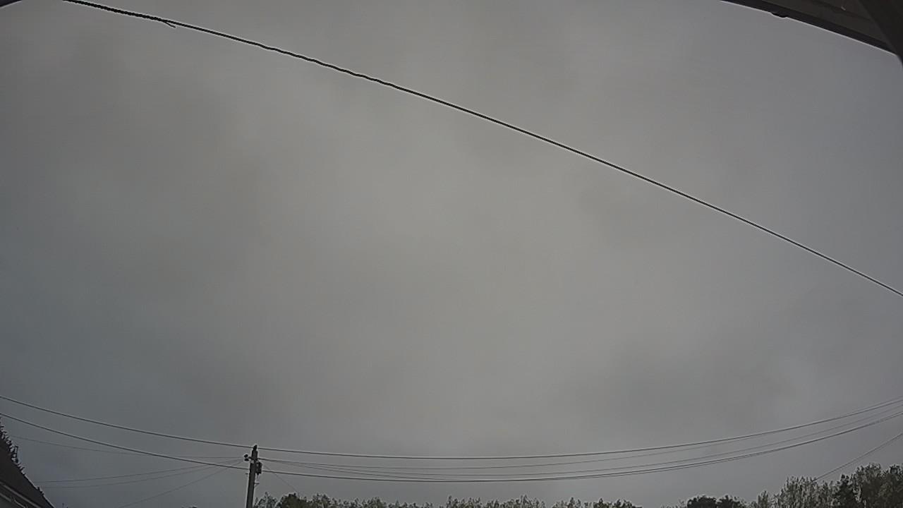 20260817_090120_cam2.jpg