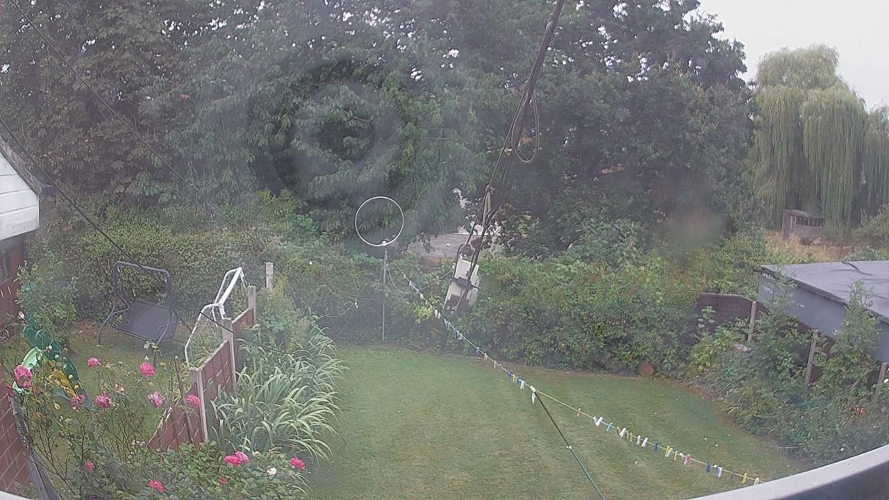 20260817_090547_cam1.jpg
