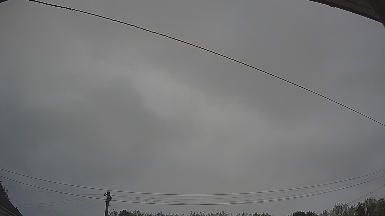 20260817_090548_cam2.jpg