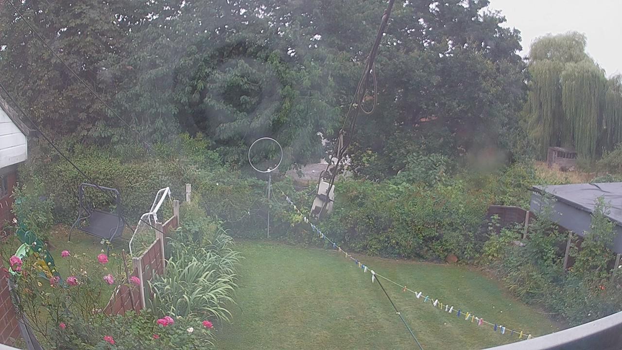20260817_091015_cam1.jpg