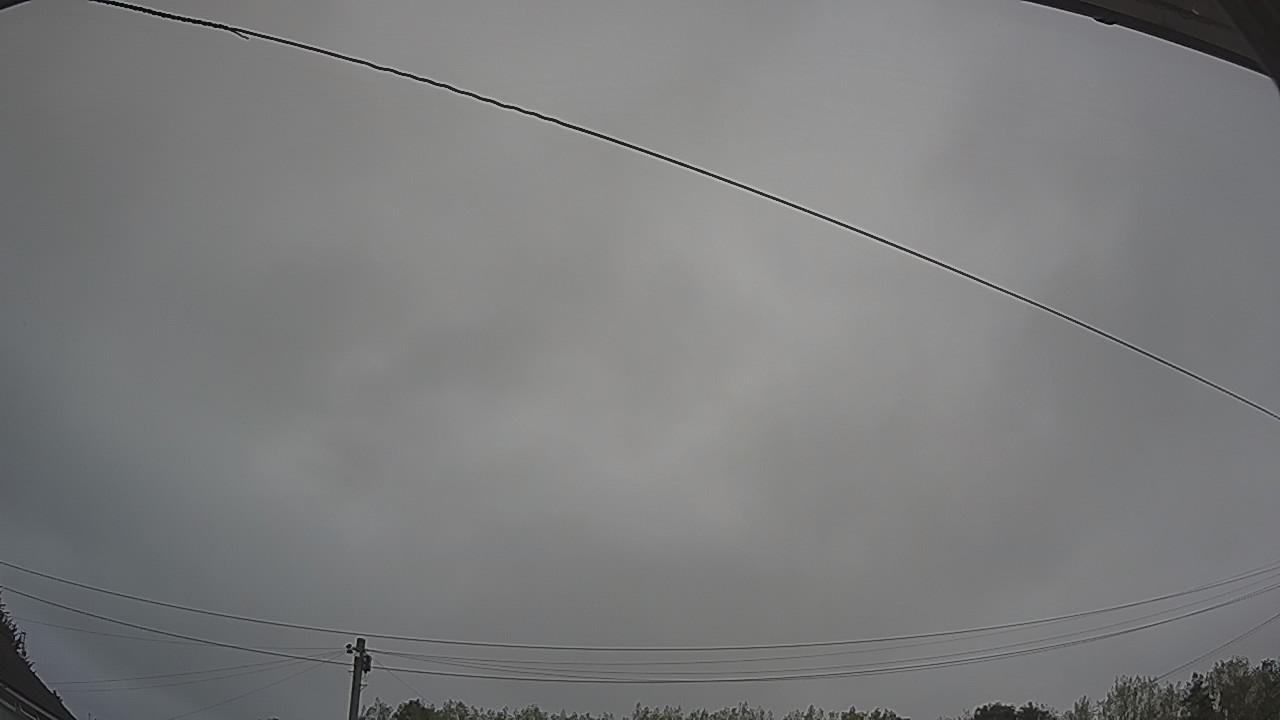 20260817_094153_cam2.jpg
