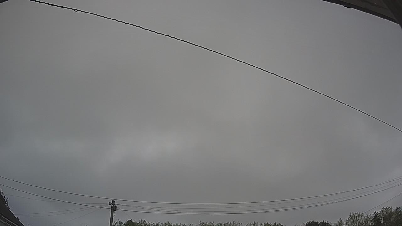 20260817_095541_cam2.jpg