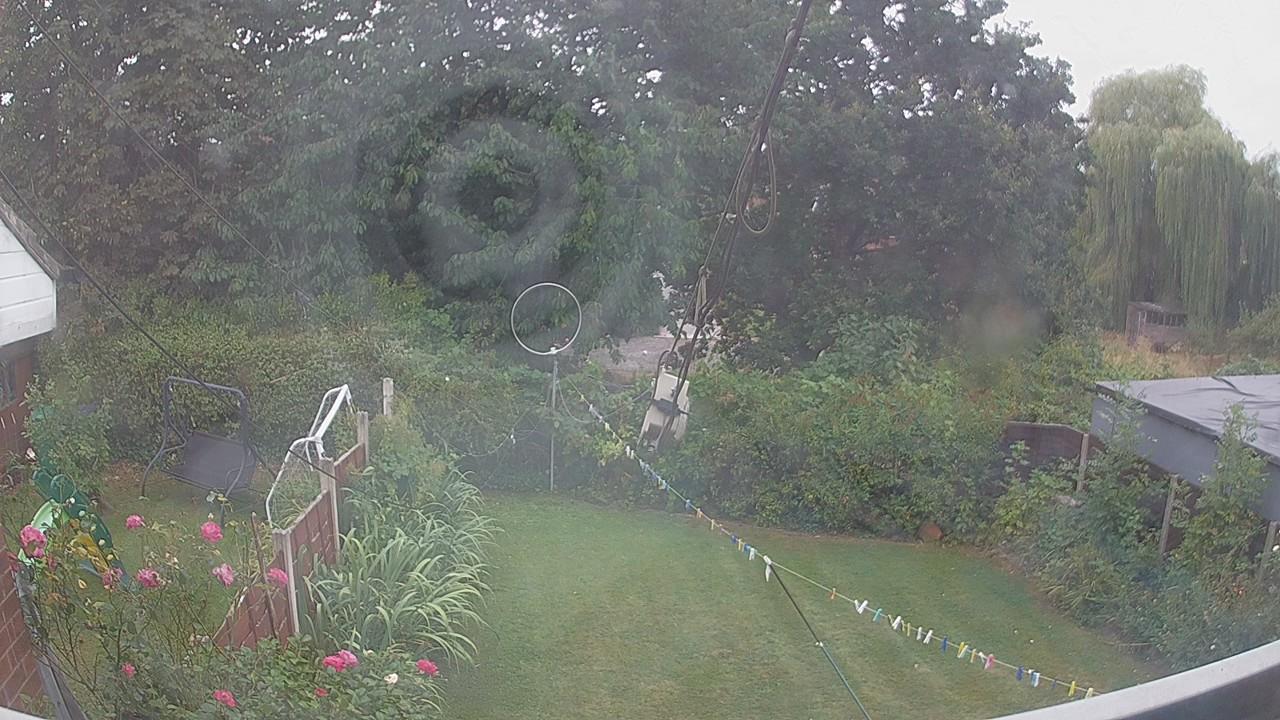 20260817_100009_cam1.jpg