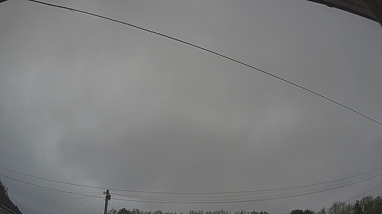 20260817_100010_cam2.jpg
