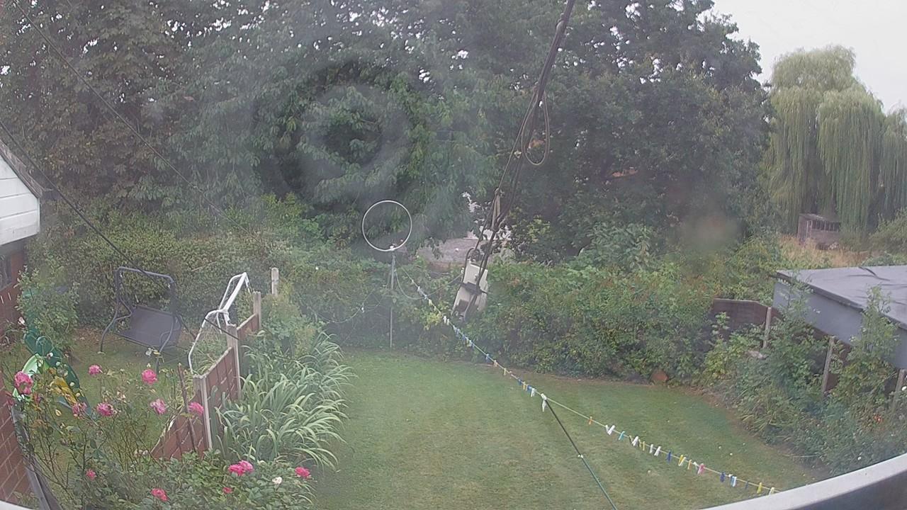 20260817_100903_cam1.jpg