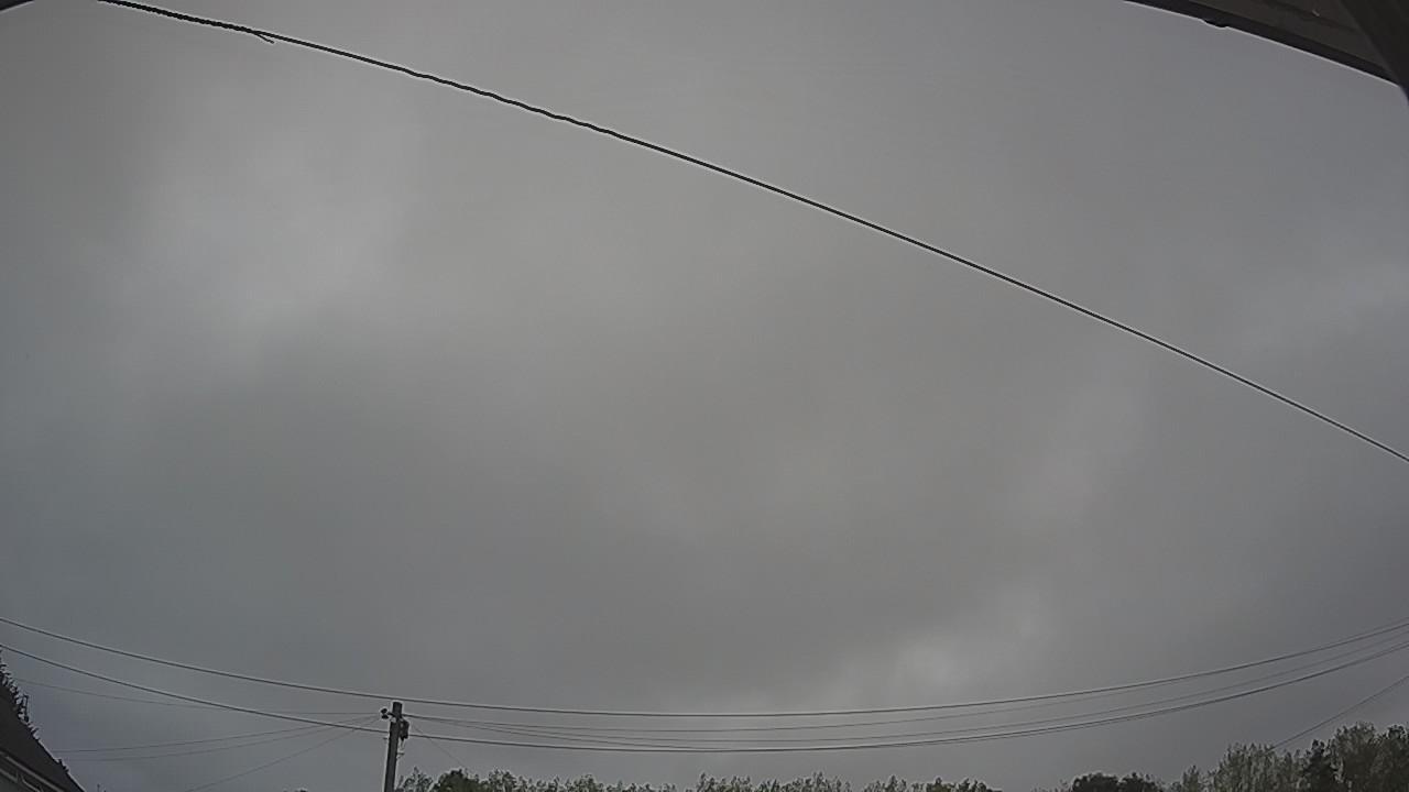20260817_101331_cam2.jpg