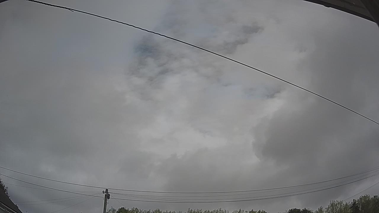 20260817_105022_cam2.jpg
