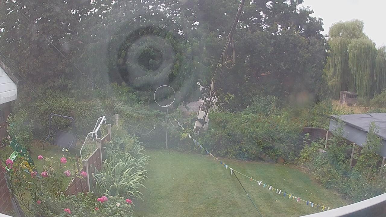 20260817_111246_cam1.jpg