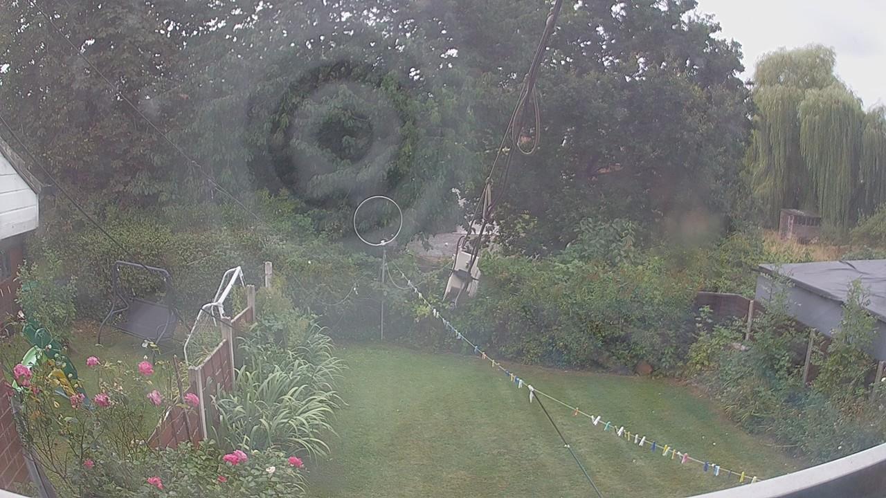 20260817_113503_cam1.jpg