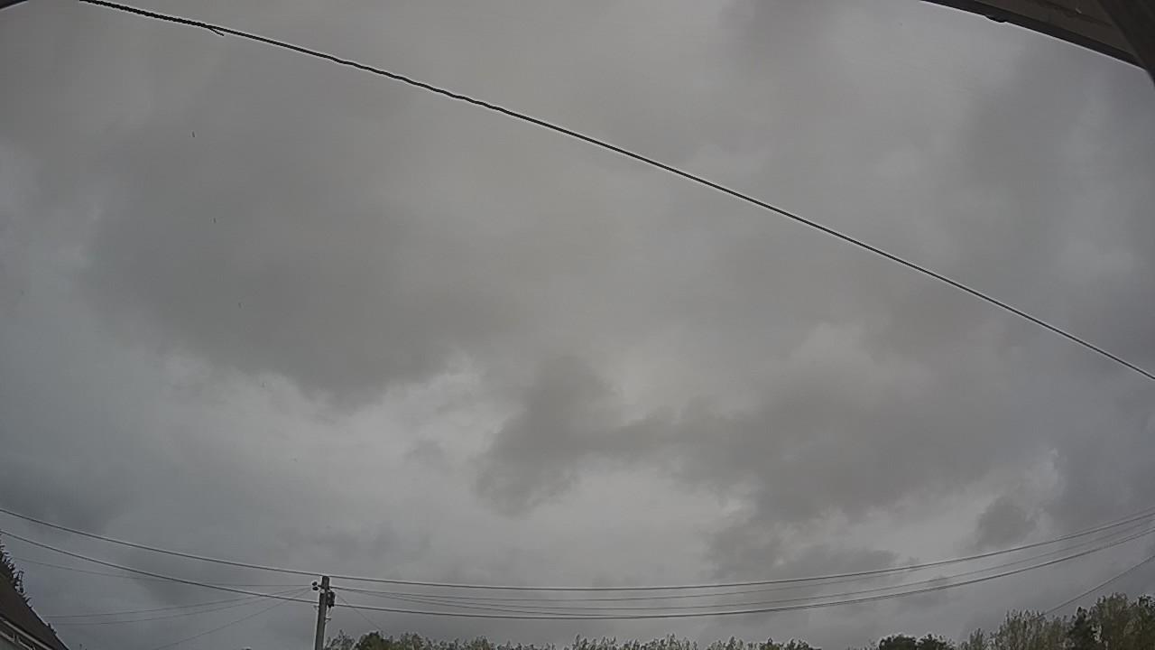 20260817_113932_cam2.jpg