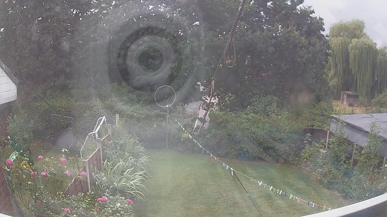 20260817_114825_cam1.jpg