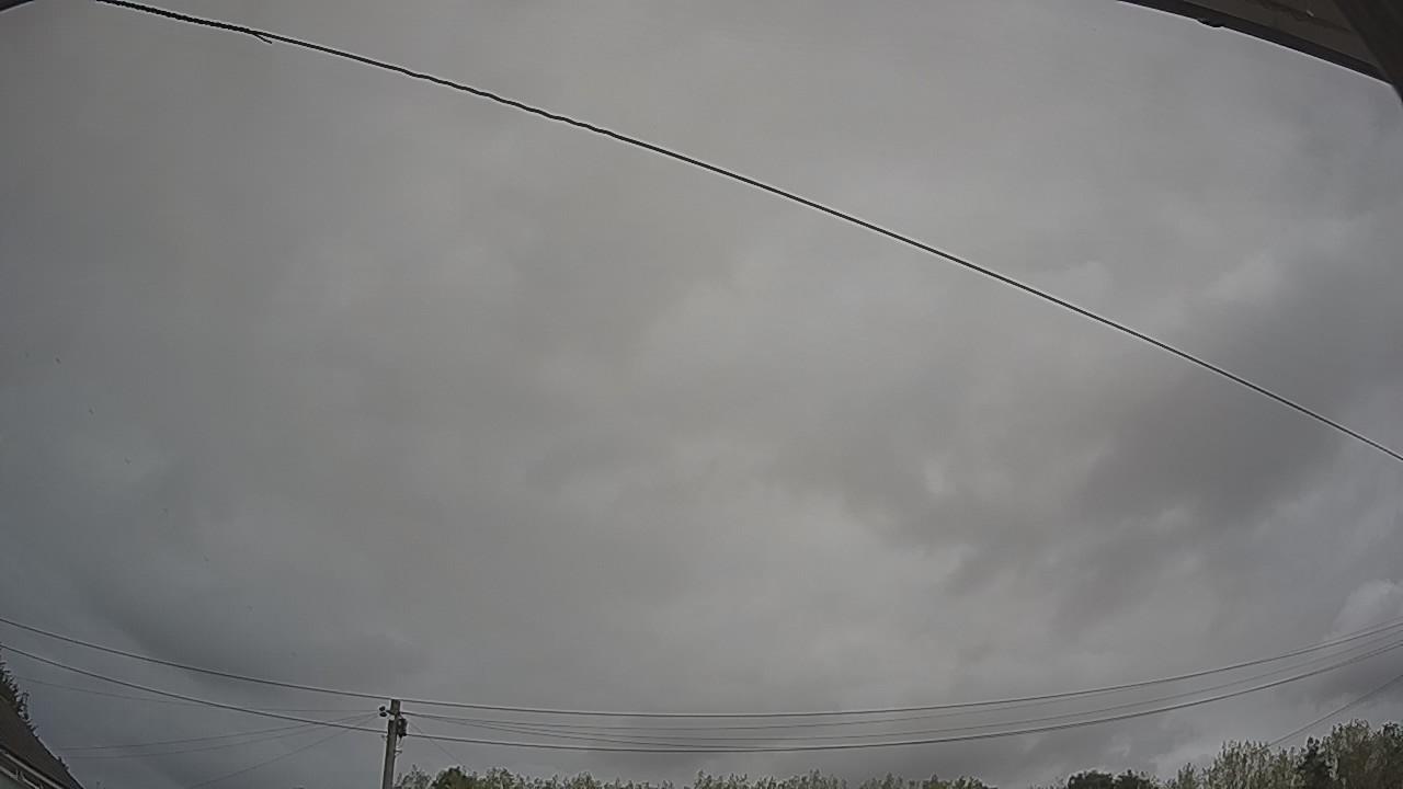 20260817_115253_cam2.jpg
