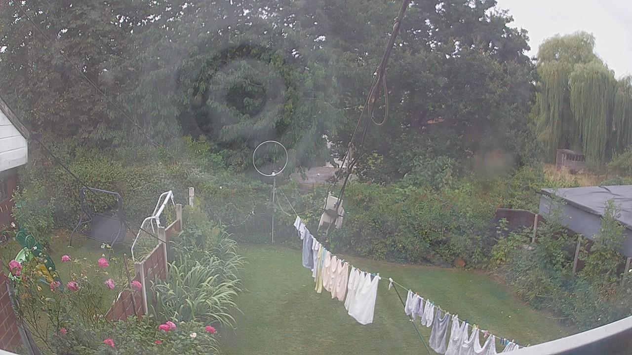 20260817_121934_cam1.jpg