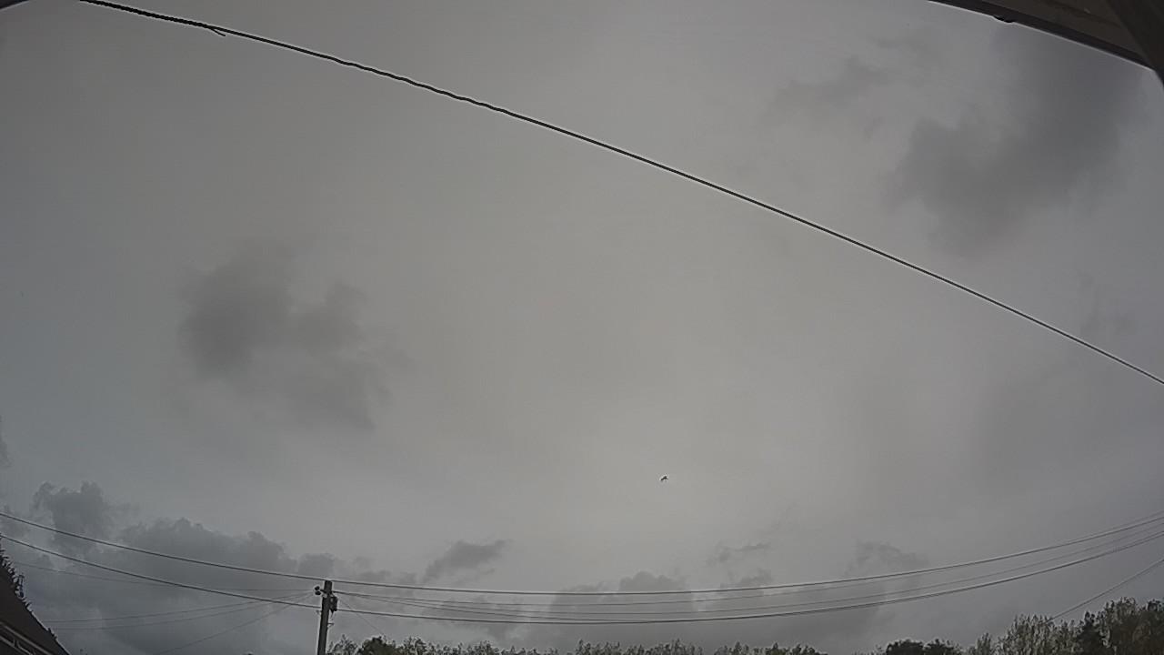 20260817_123704_cam2.jpg