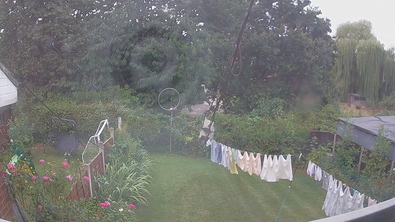 20260817_124538_cam1.jpg