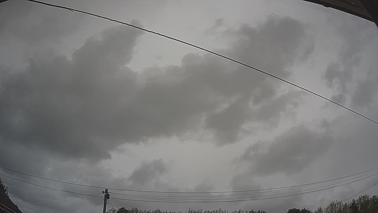 20260817_124958_cam2.jpg